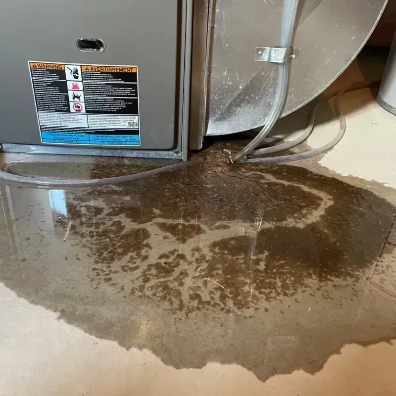 Appliance Leak Cleanup in Waverly, IL